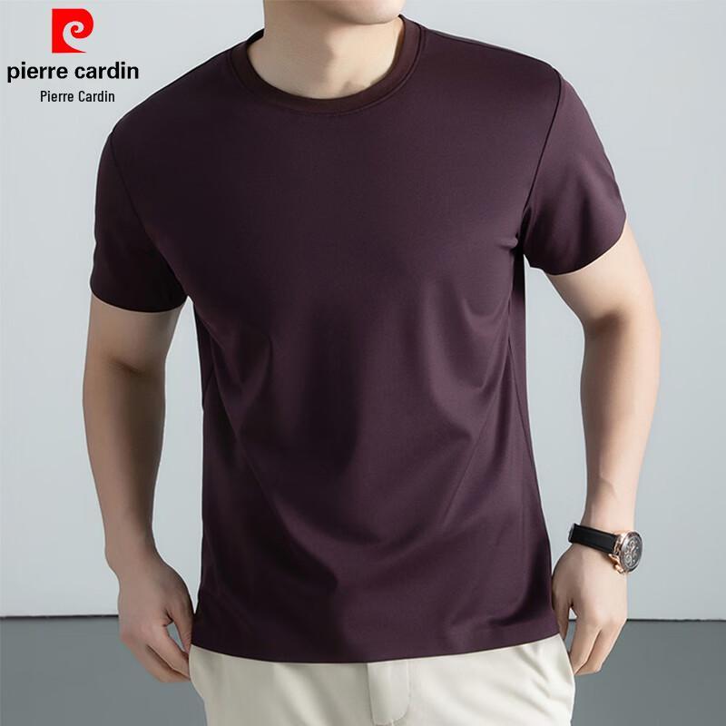 Pierre Cardin Men's Mulberry Silk Blend Short Sleeve T-Shirt