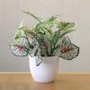 1Pcs Fresh Fresh Artificial Foliage Desktop Plant Potted Mall