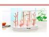 Tree-Shaped Multifunctional Baby Bottle Drying Rack – PP Material