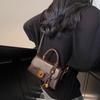 High-end fashion handbag women's 2025 new autumn and winter retro casual small square bag niche design shoulder bag