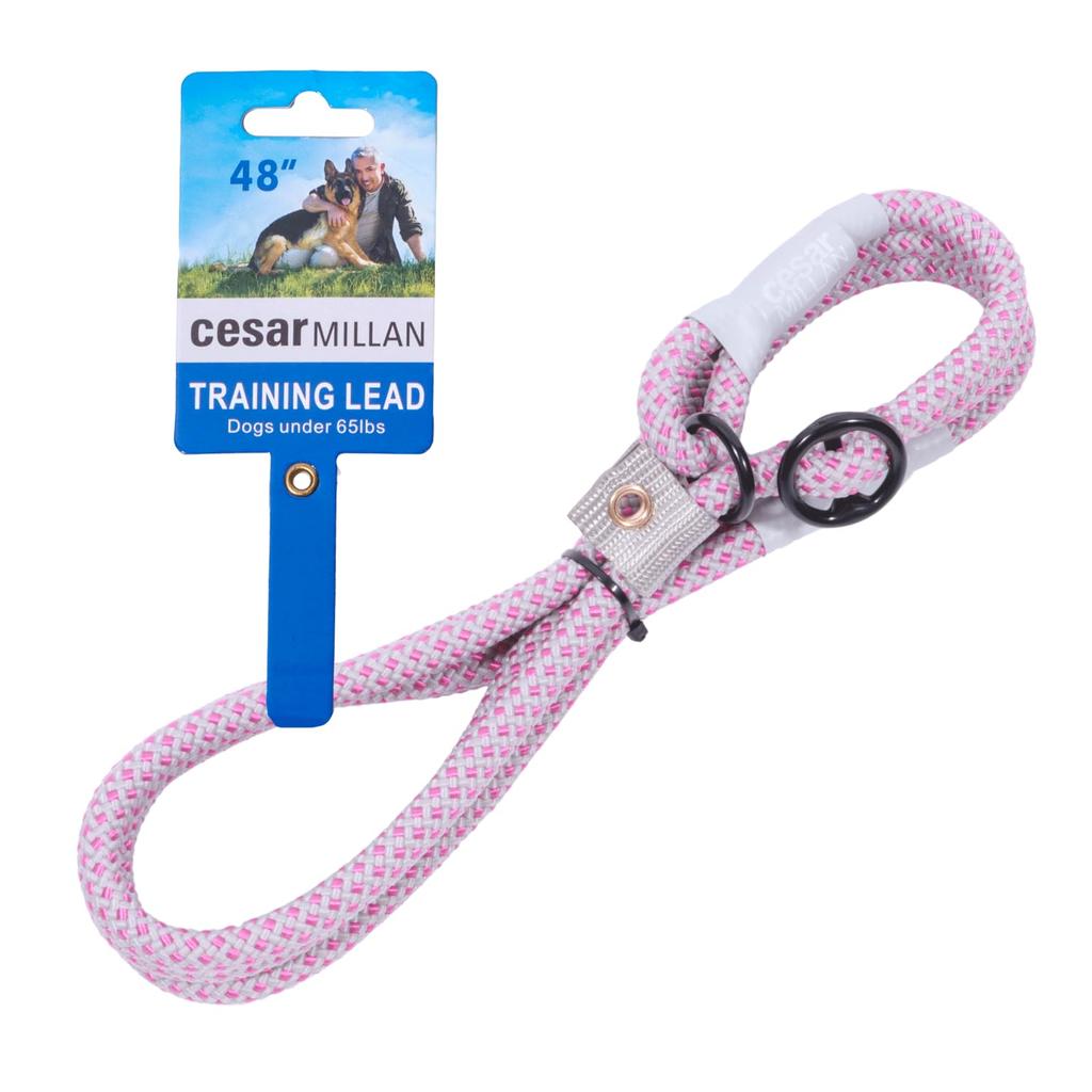 Slip Lead by Cesar Millan Length Thickness by Dog for medium and large dogs Regular small and medium Approximate weight under [Genuine Product] 120cm,