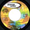7inch Record B.T. EXPRESS  Do It Til Youre Satisfied SCE12395 SCEPTER 1974 US SoulFunk Used