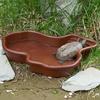 Turtle Water Basin with Anti-slip Ladder Bathing Platform Drainage Hole Tortoise Reptiles Bathtub Habitat Landscaping Water Holder Bowl Dish