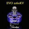 RCinpoer WASP MAJOR EVO Plus Brushless FPV Racing Drone Motor (CN Version)