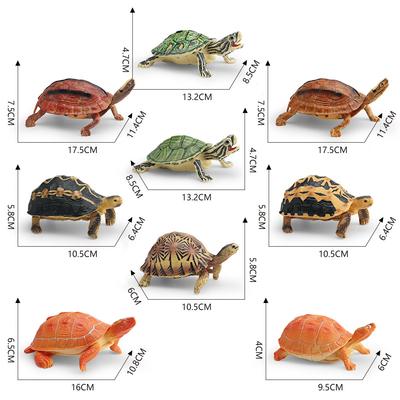 אספנות ודגמים – דגמים