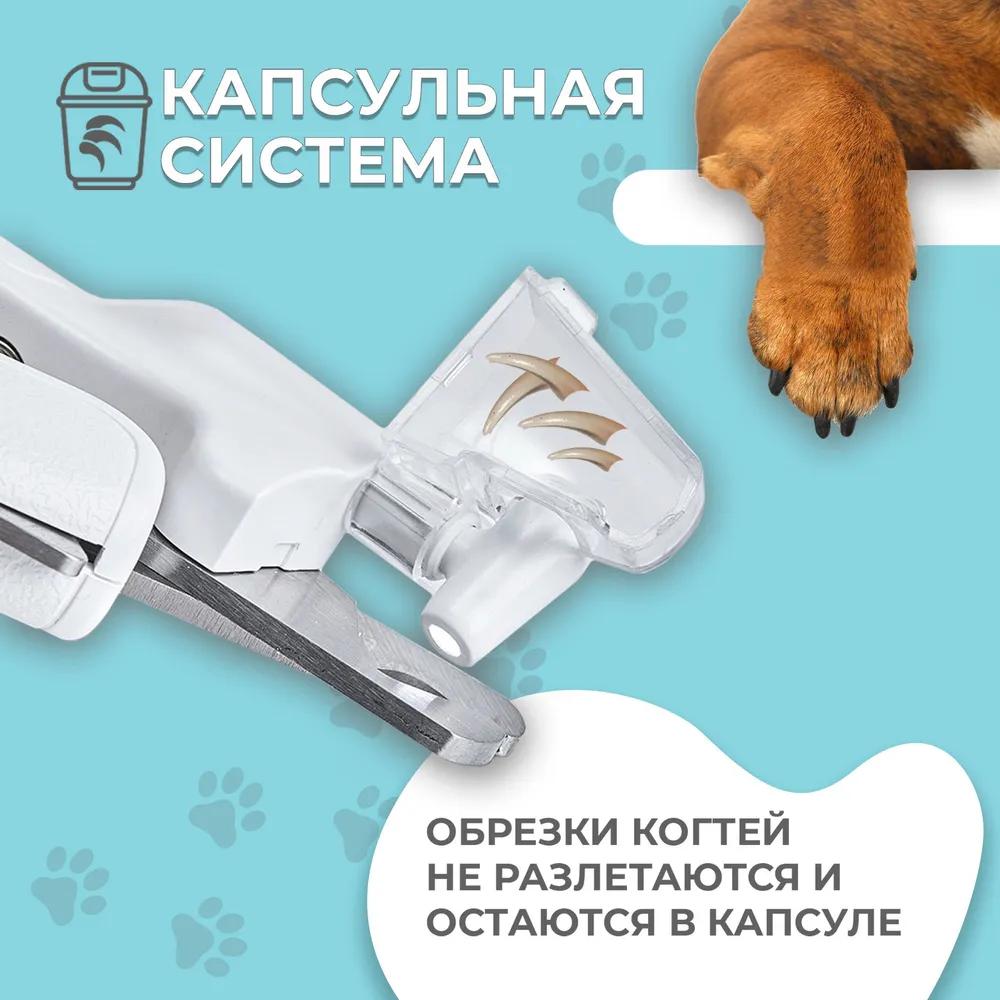 Nail clipper for cats and dogs of all breeds 4 in 1 with light, built-in container and nail file