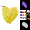 Luxurious Natural Ostrich Feathers 12-14 Inches For Elegant Party Table Decor