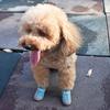 4Pcs Pet Shoes Lightweight Wear-resistant Breathable Fashion Dogs Mesh Sneakers Pet Supplies
