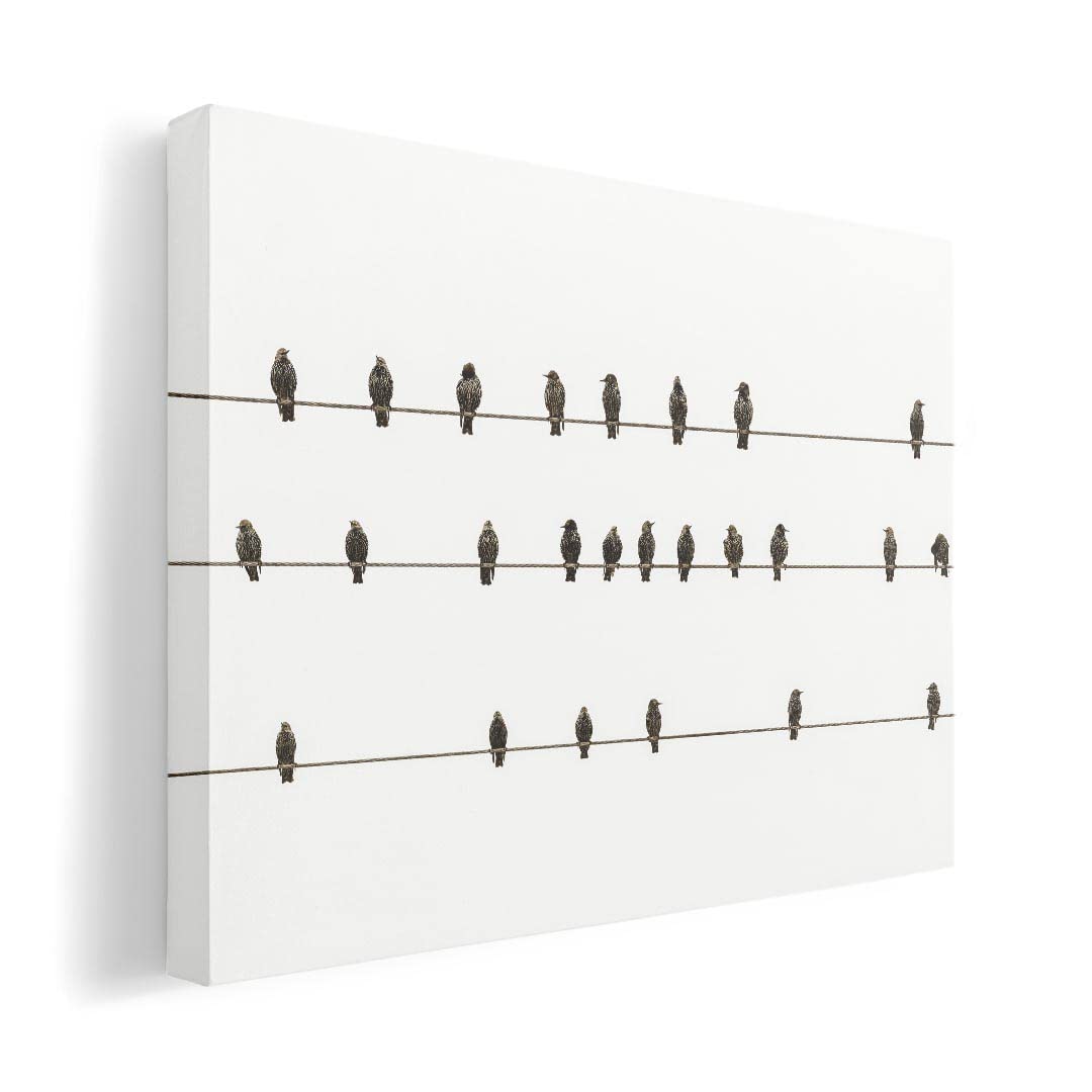 

Art 420mm x Wall Wooden Stylish Interior Animals Panel, Painting, Decoration, igsticker, 297mm, A3, Photo, Hanging, Frame, Decor, 023567, Birds,