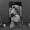 Weimaraner Dog For Samsung Galaxy M06 M16 M14 M34 M54 M11 M21 M31 M13 M33 M35 M53 M55 M15 M12 M32 M52 Case