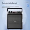 Philips SD50X Portable Outdoor Bluetooth Speaker & Amplifier