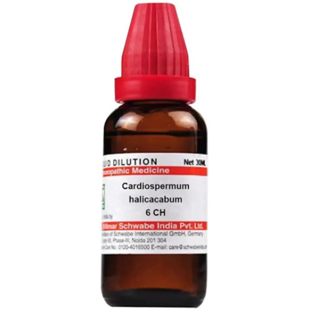 Dr. Willmar Schwabe India Cardiospermum Helicacabum Dilution - 6 CH - 30 Ml