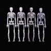 4 Stück/Set Schädel Hängender Geist Simulation Menschliches Skelett Cosplay Ornament Knochen Halloween Party Heimdekorationen Requisiten