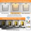 Tassuowell Rechargeable Picture Light with Remote Control,12 Inch Brass Finish Adjustable Wireless Art Lighting Fixture,Painting Lights with Timer,3
