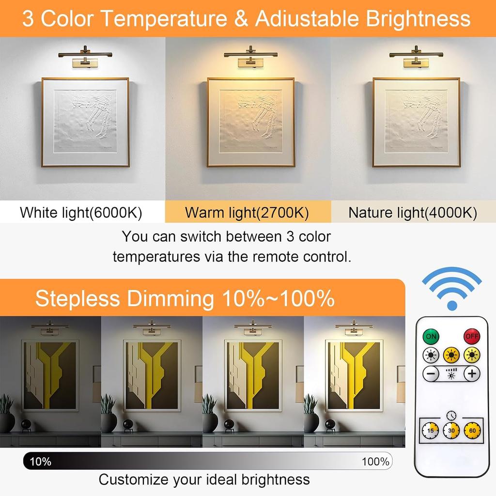 Tassuowell Rechargeable Picture Light with Remote Control,12 Inch Brass Finish Adjustable Wireless Art Lighting Fixture,Painting Lights with Timer,3
