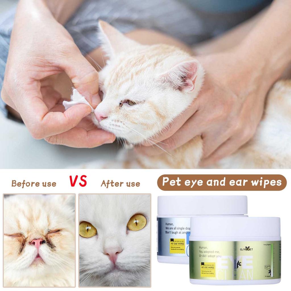 120 Pcs Pet Eye Wet Wipes Cat Dog Tear Stain Remover Gentle Cleaning Wipes Sterile Grooming Cleaning Paper Towels