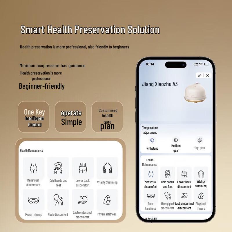 Breo Smart Moxibustion and Gua Sha Massager CN Plug (adapter Included)