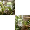 Plastic Bird Drinking Container For Cages Simple To Maintain And Install 248ml Capacity