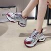 Silver Dad Shoes Women's Spring and Autumn New Versatile Small Height Increase Platform Casual Sports Shoes