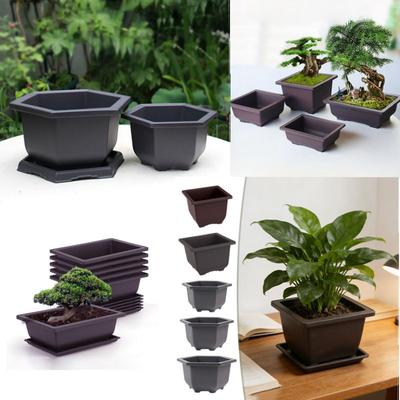Rectangular Square Bonsai Flowerpot Plastic Bonsai Training Pots Succulent Plant Growing Pots Container Garden Home Decor