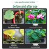 Lotus Nutrient Solution & Fertilizer for Hydroponic and Soil-Based Lotus Ponds and Bonsai Pots