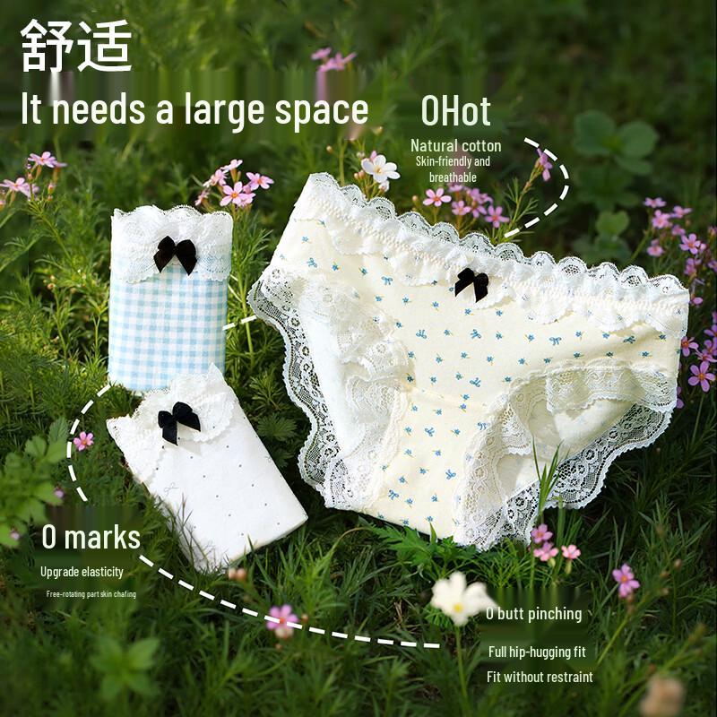 Women's Antibacterial Pure Cotton Lace Briefs 4-Pack