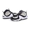 DZ2549-001 Nike Air Penny 2 Panda Light Bone White Photon Dust (Men's)