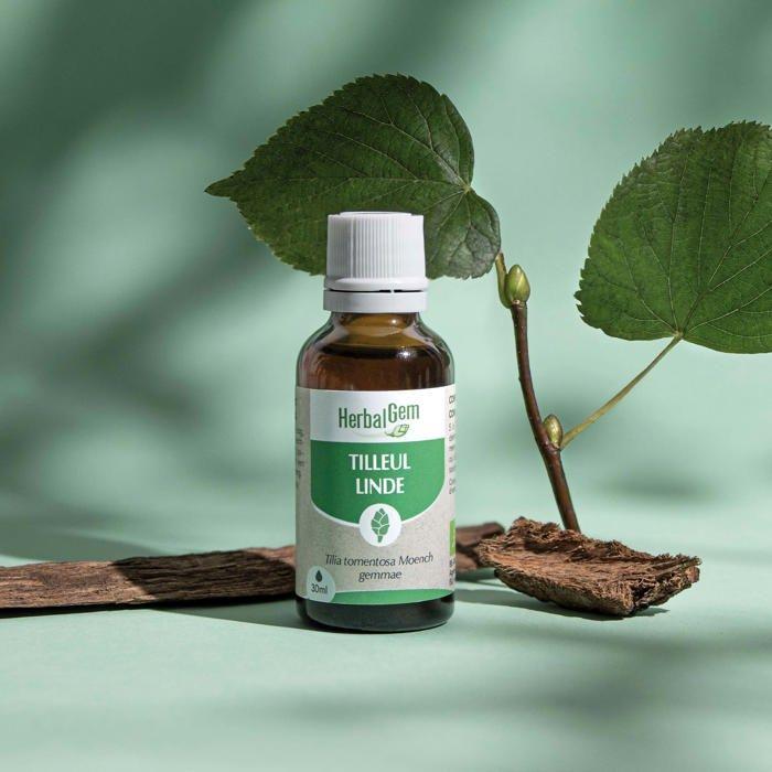 Herbalgem Macérat Concentré Tilleul Bio 30ml