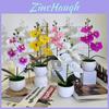 Neue Vierblumen Kleine Runde Orchidee Schreibtischpflanze Mit Künstlichen Blumen Für Heimdeko Und Bürogebrauch
