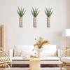 2 Pièces Vase Mural Unique Support à Fleurs en Bois pour les Passionnés de Décoration Intérieure Naturelle Vase pour Fleurs Séchées