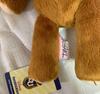 [USED] Original Peter Pan stuffed bear, Michael Teddy bear, Disney Store