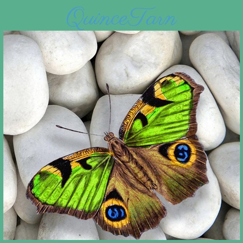 5d Roundsquare Diamond Full Diy Painting Stone Butterfly Diamond Embroidery Full Lay Cross Stitch Kits Home Decor Handmade Gift
