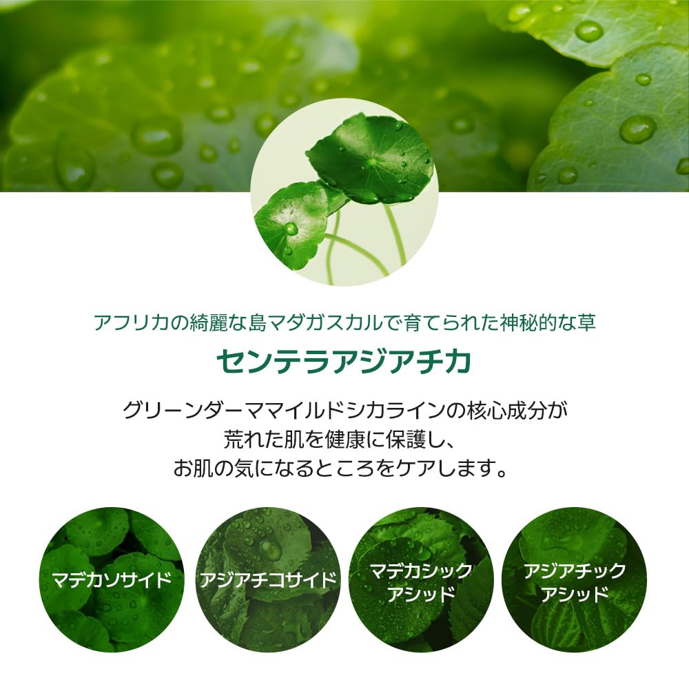 NATURE REPUBLIC Green Derma CICA Big Toner Large Capacity Lotion Moisturizing Centella Asiatica Extract