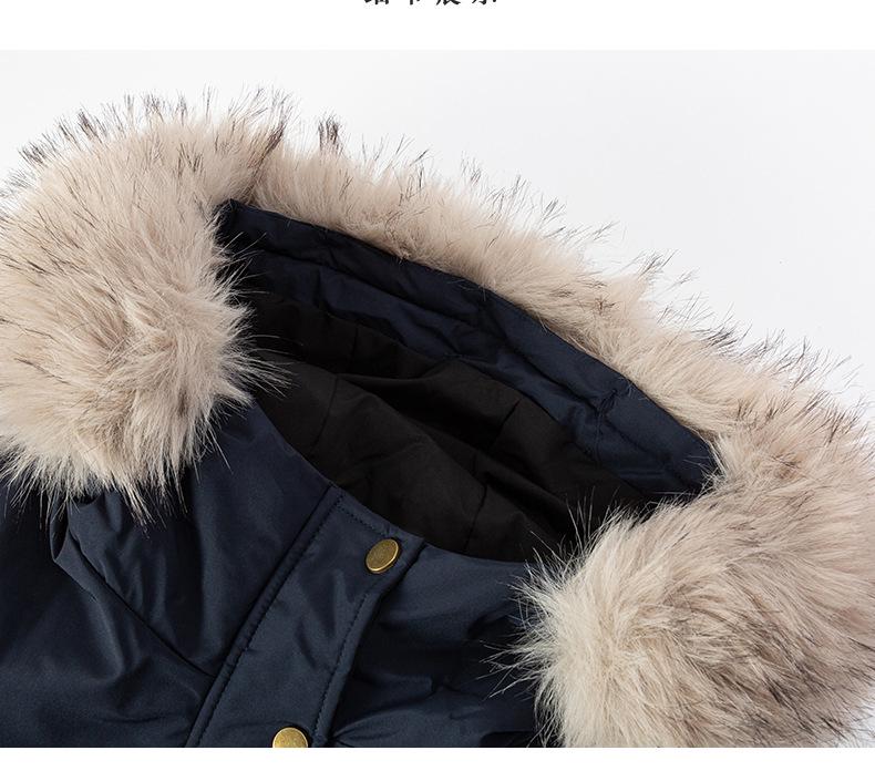 Women's Winter 2026 Cotton Padded Jacket - Short, Thick, Warm, Fashionable, Versatile Outerwear