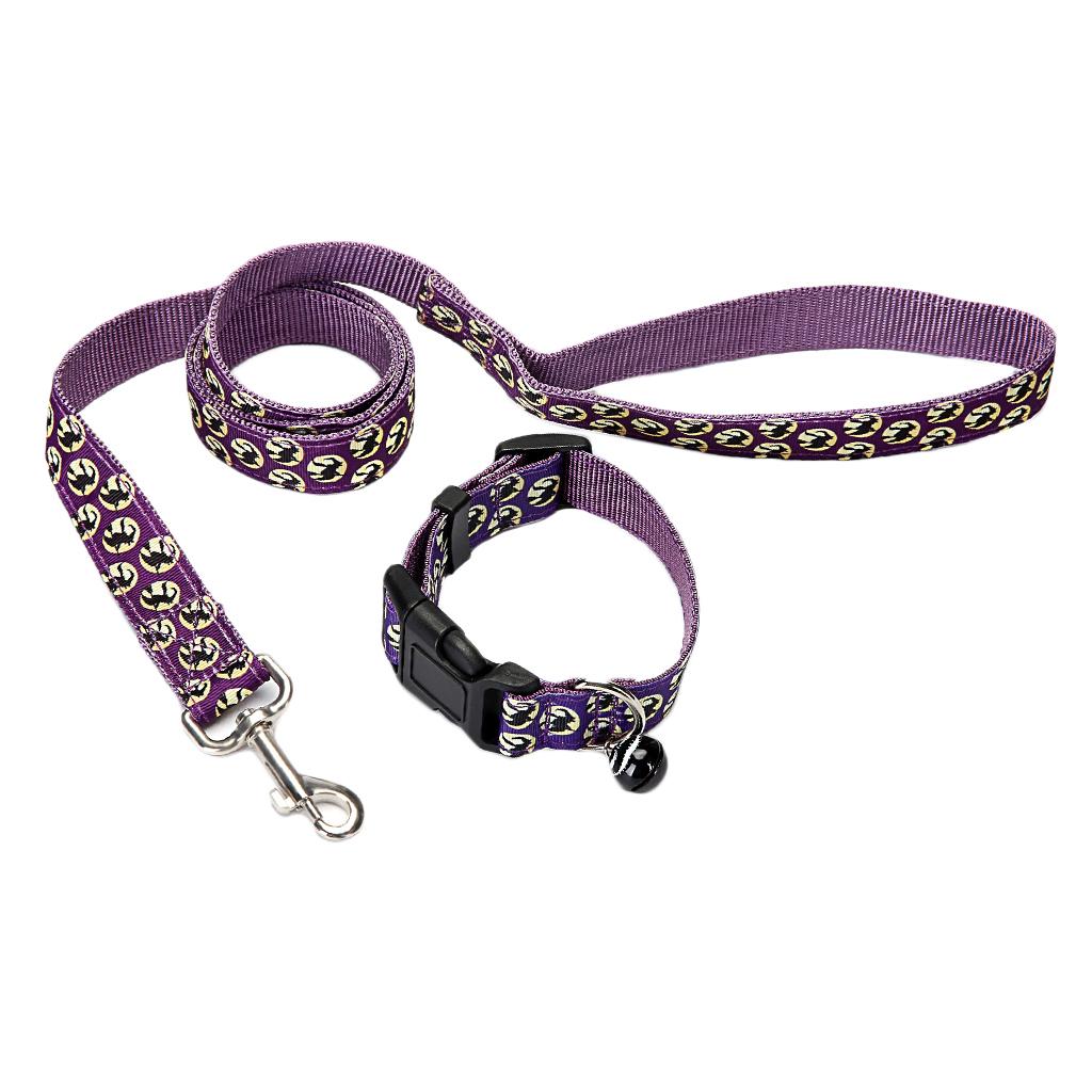 rope collar and leash