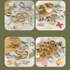 Stainless Stell Dinosaur Cookie Cutters Animal Shape Cookie Making Set Biscuit Cutting  Festivals