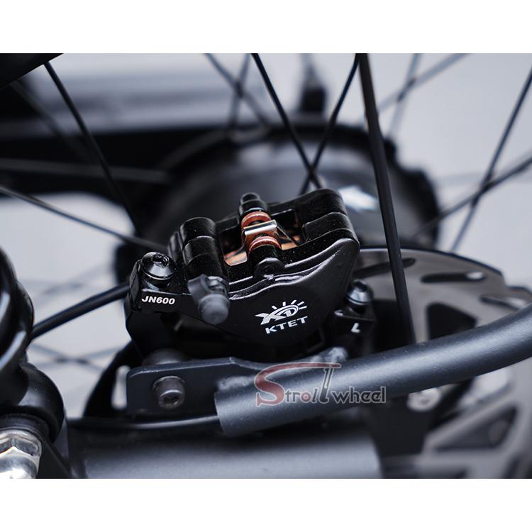 EU-Lager Fettreifen Elektro-Stadtrad 45 km/h COC Pendler-Elektrofahrrad Elektro-Stadt-Freizeitfahrrad
