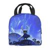 Hollow Knight Funny Games Insulated Lunch Bags Food Container Bags Portable Cooler Thermal Lunch Boxes For Work