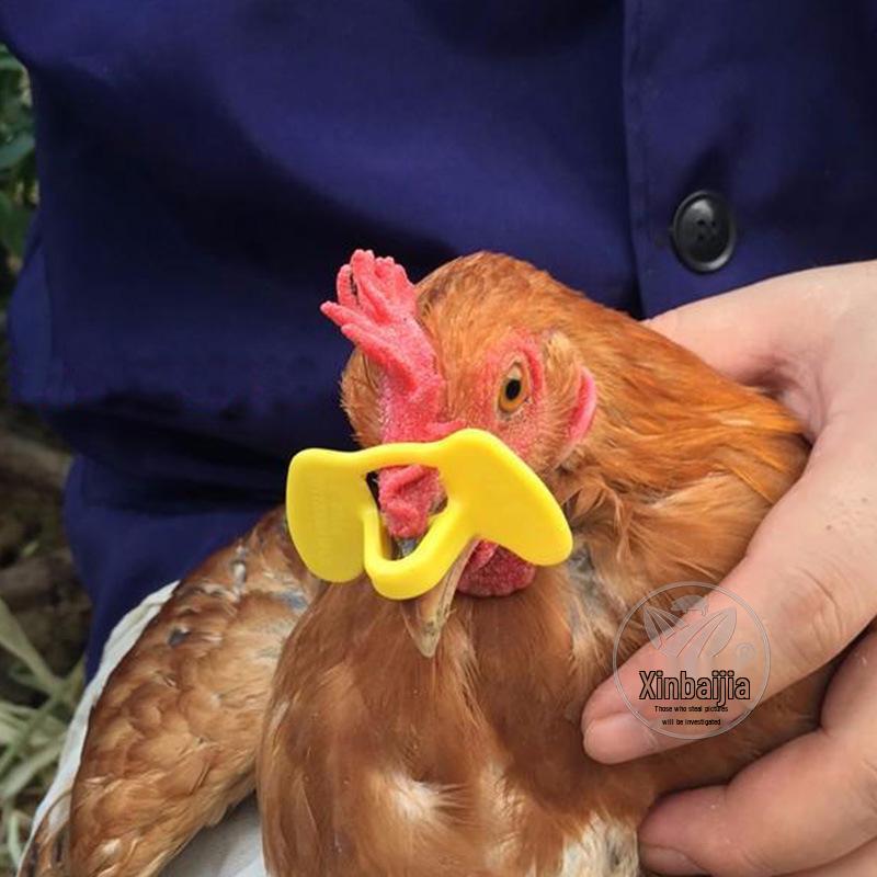 Lunettes de poulet: Lunettes Anti-Picage Sans Bouchon pour l'Élevage et la Protection des Poulets