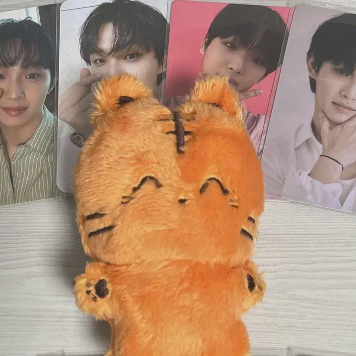 

BTOB Лим Хён-сик Фока+бомсик