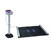 Yongrui Wu Physical Fitness Testers