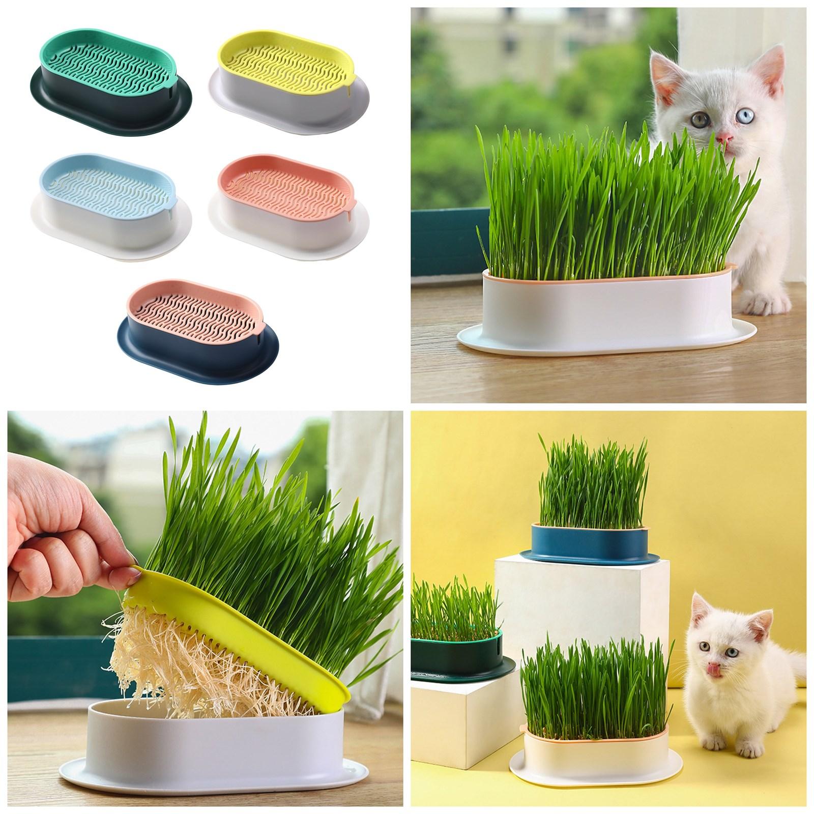 

2Pcs Cat Grass for Indoor Cats Growing Kit Organic Seed Mix Soil Cat Planter Natural Hairball Control Cat Gifts E