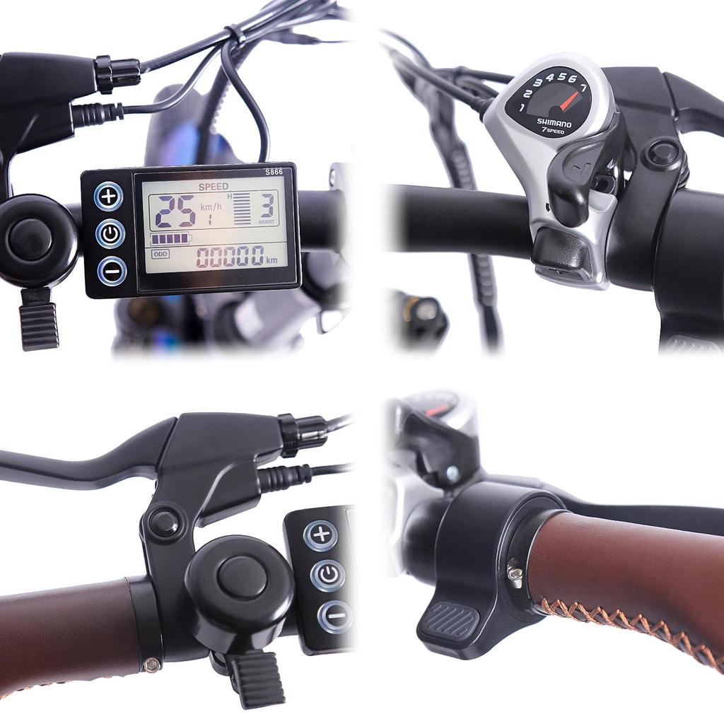 FAFREES F20 Pro Electric Bicycle 250W Motor, 36V 18Ah Battery, 20*3.0 Inch Tire, IP54 Waterproof, 80-100KM Range E-bike