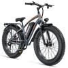 MALZAHAR DZ‑F01 E-Bike Fat-Tire per Adulti, 250W, Batteria Rimovibile 48V 23.4AH, Freni a Disco Idraulici, Bicicletta Elettrica All-Terrain 26"×4.0"