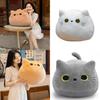 Soft And Cuddly Black Cat Plush Toy For Kids Super Cute And Adorable!