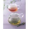 HARIO Chacha Teapot, Round, 700ml Capacity, Heat-Resistant Glass, Perfect Gift, CHJMN-70T