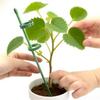 Plant Supports Stakes Green Plant Sticks Support Potted Single Vine Stem Fixing Rod Holder Reusable Plant Anti Lodging Bracket