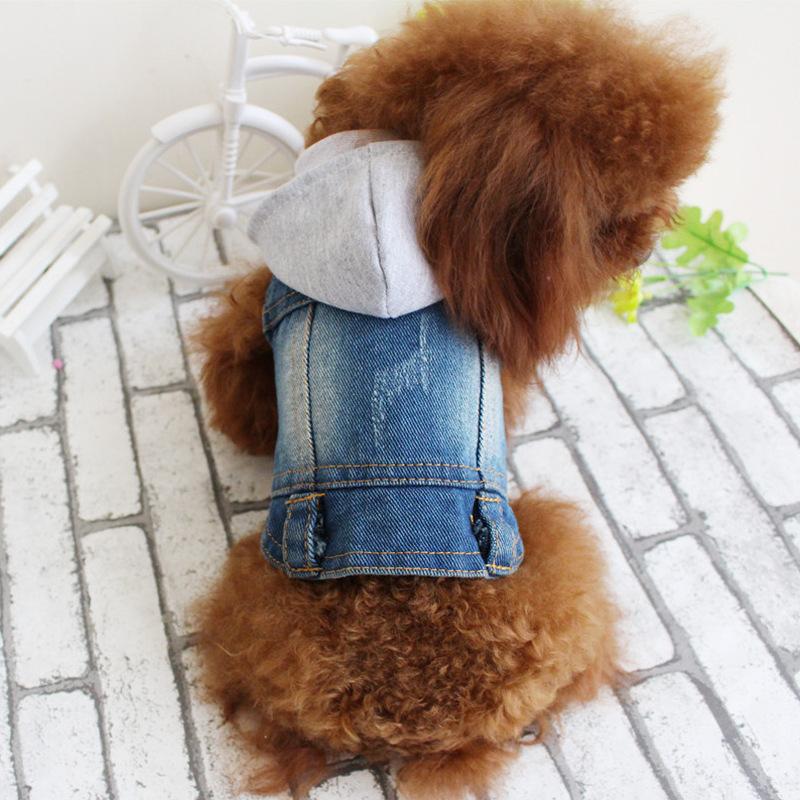 Personalized pet cat small puppy dog clothes denim vest hooded jacket spring and autumn winter