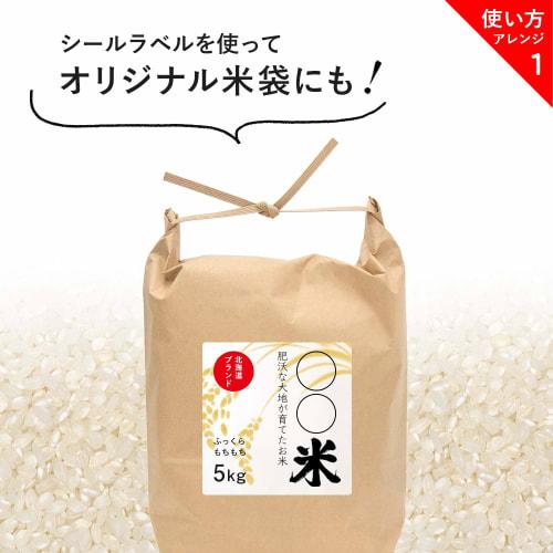 Nexta Rice Polishing Bags, Double-Layered, Tear-Resistant, Easy-to-Tie Top, No Tools Required, Made In Japan, Kraft Paper, Plain, Bulk Purchase, 5kg,