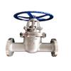 GFGFV Stainless Steel Flanged Gate Valve Z41W-16P DN100